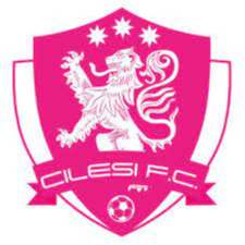 https://img.xinshij.com/img/football/team/7aa0eae9d284e6aab302a00cb5107481.png