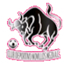 https://img.xinshij.com/img/football/team/97c3ef30cac48cadff97605e387feefa.png