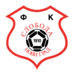 https://img.xinshij.com/img/football/team/b71b7bfab3d42c691e953977143504e5.png